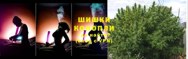 PSILOCYBIN Аркадак