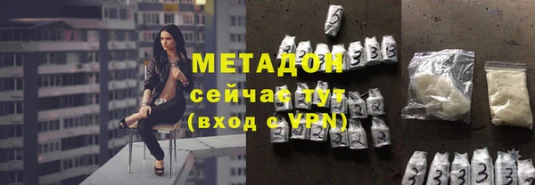 прущие грибы Арсеньев
