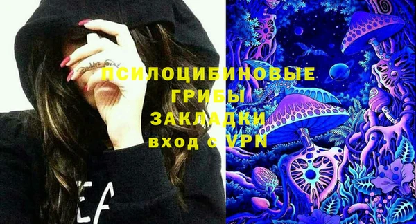 PSILOCYBIN Аркадак