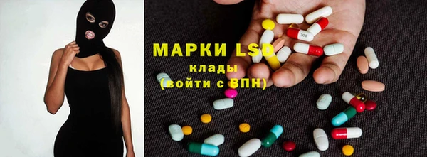 PSILOCYBIN Аркадак