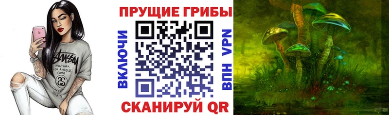 Галлюциногенные грибы MAGIC MUSHROOMS  Коломна 